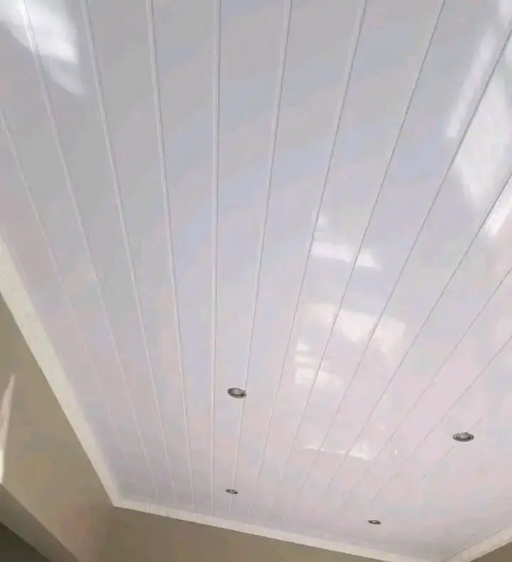 home improvement projects ceiling