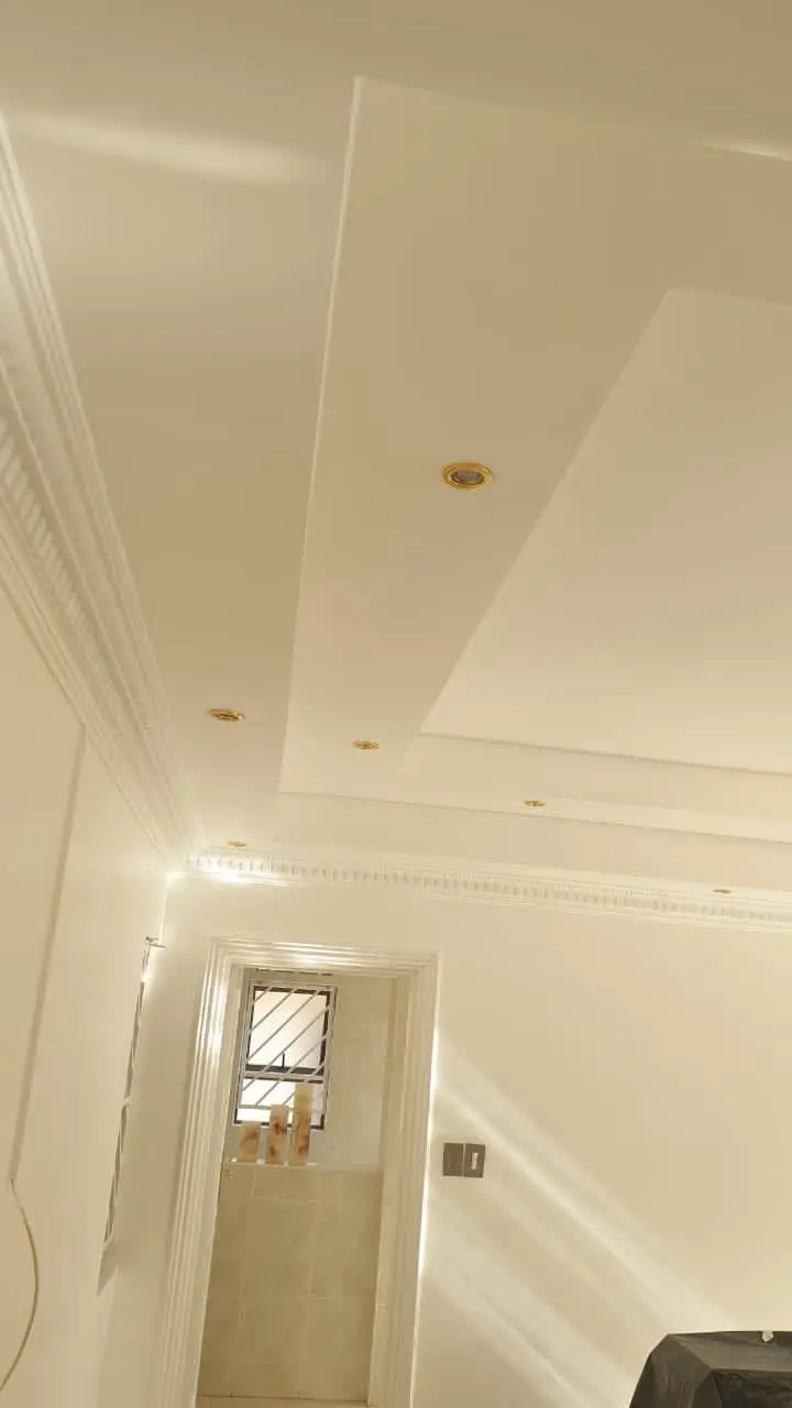 Home Improvement-Ceiling and Skimmming